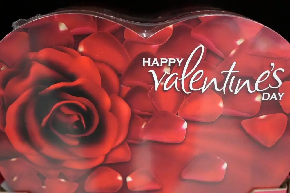 1770995895204560qzn7qv3d8b-apn215932