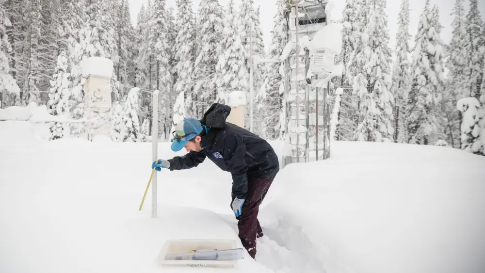 1771093095981134sfbrezz9a8-apn400934