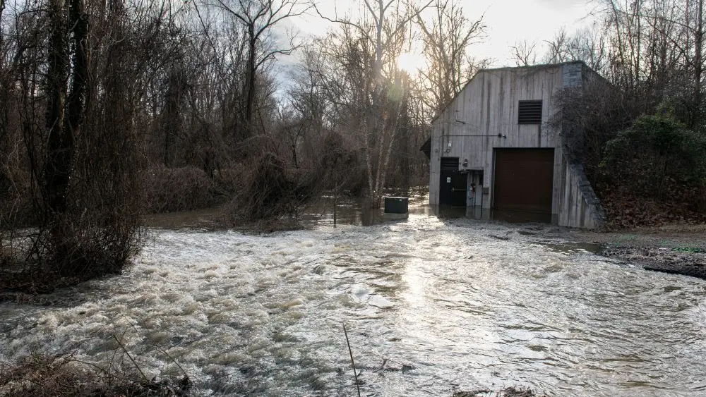 1771291096631995ezl99svb5z-apn490680