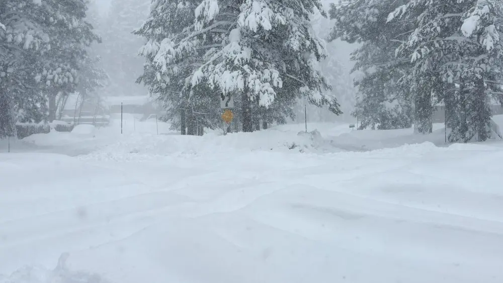 1771366701899314jdwqjqvisf-apn98794