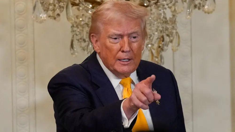 1771499896193014udz6hnssr4-apn293106