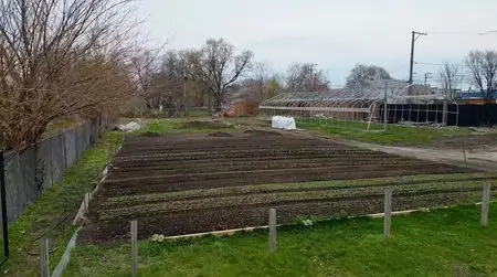 1771621540734641wiero9tqp1463363