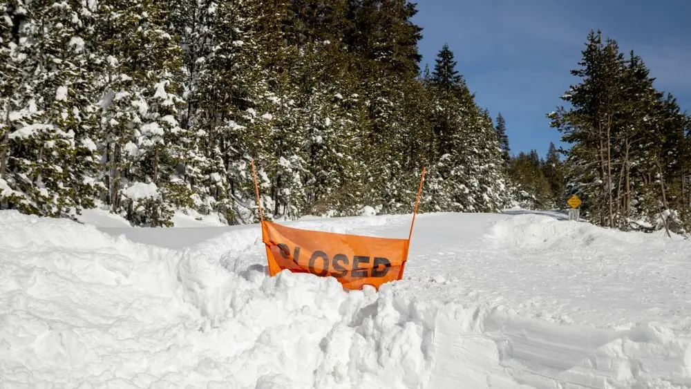 1771651093596658gpjbgdyznf-apn469467