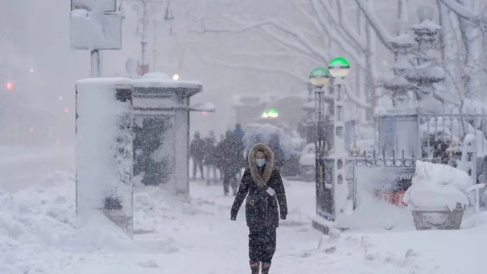 1771859906605179k8okx06wtc-apn477741