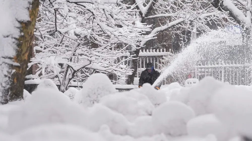 1771881750946002ztpbyzzgqx-apn600655