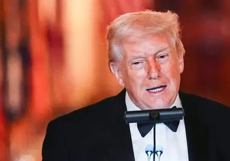 1771913125141193uja4jdvvrp545742