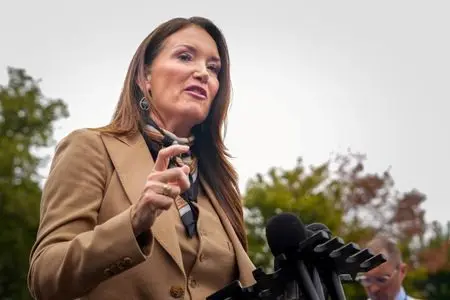 1772053532600747vrhanvm17z165744