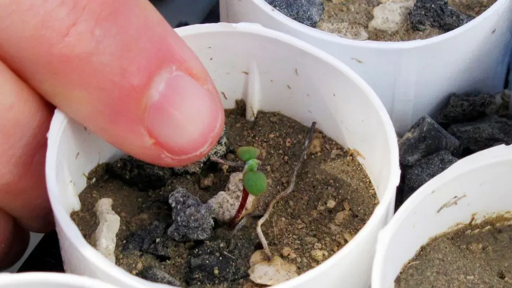 1775002699112526zzjtue0pwr-apn183605