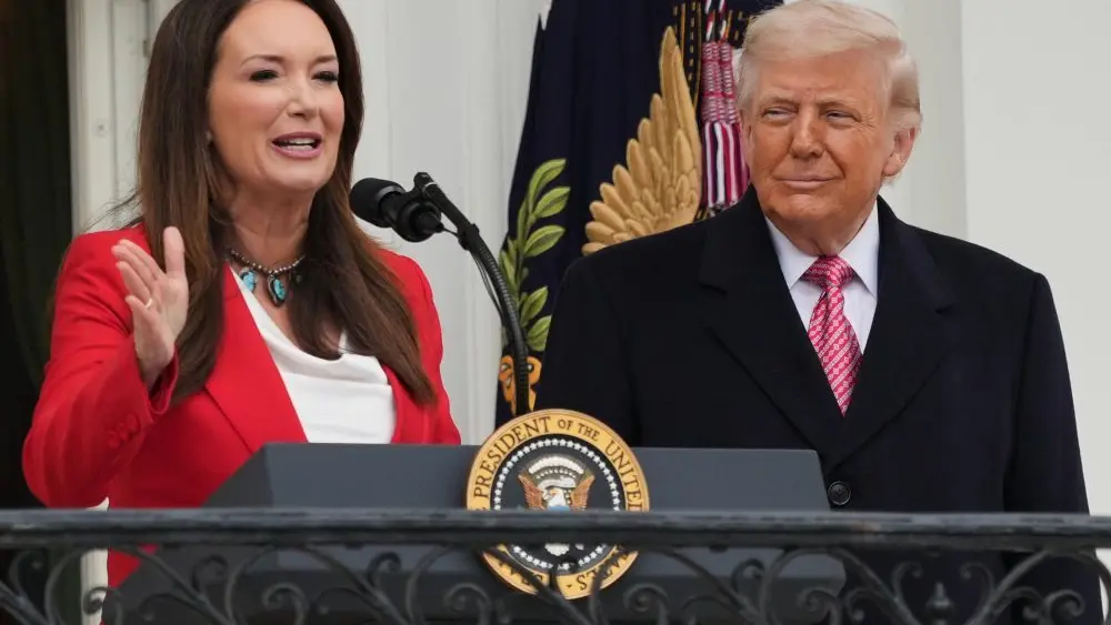 1775002702427828vp15lkxbr4-apn196217