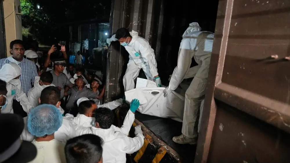 1772713095290588nly0axfarw-apn955355