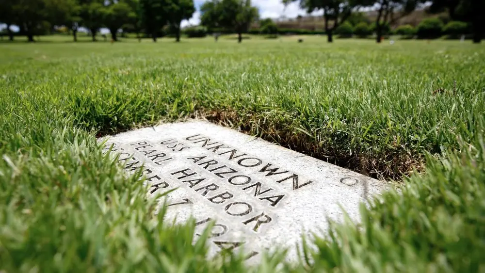 1772767093643099ctitzahs1h-apn591351