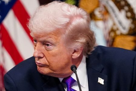 17728059342220514wiso1xx7q642608