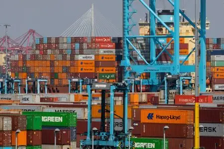 17728167341036200gc8wi6rxk581009