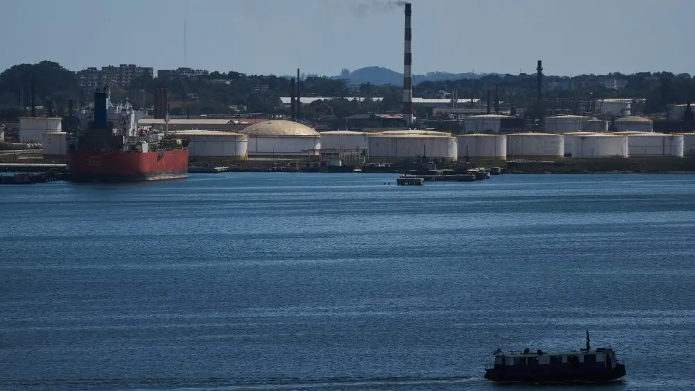 1772835537188203y7tdultgkf-apn662087