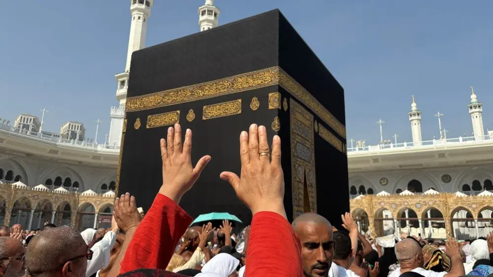 1772857095843353n3lsv5wn86-apn958298