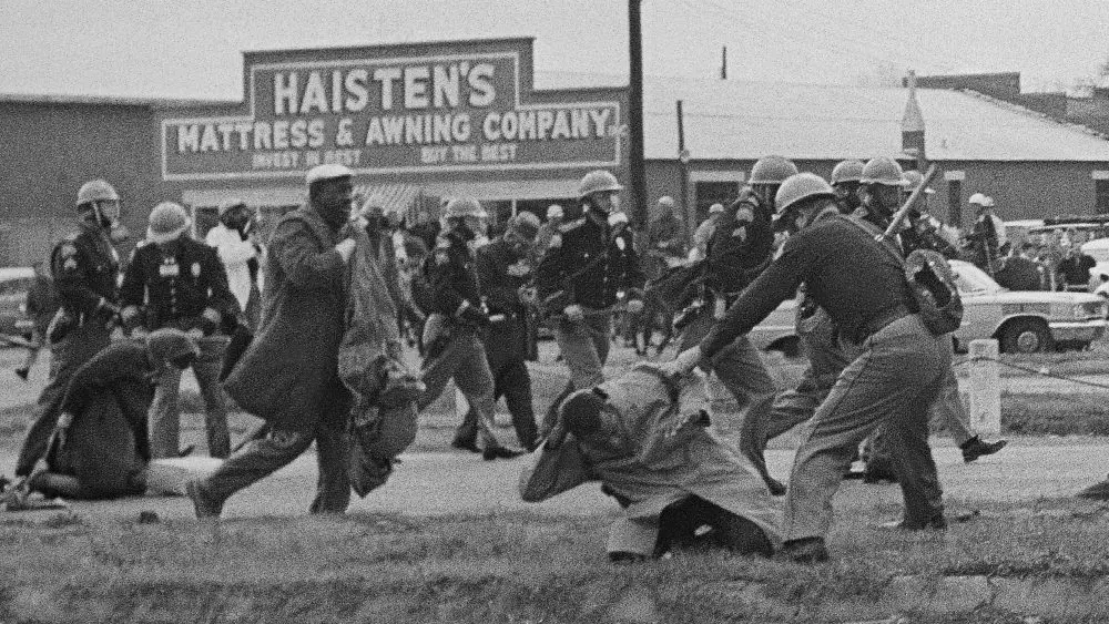 1772950695338815g6xnlj8zaa-apn205614