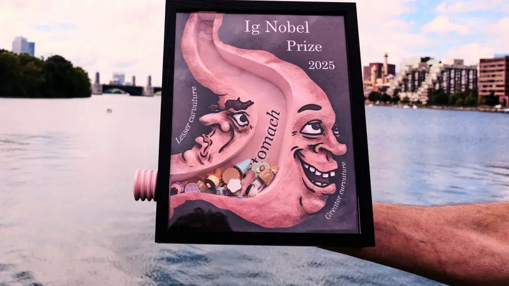 1773091095126838kncybowubc-apn717341