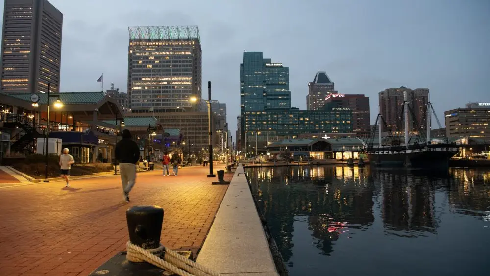 17731486987608066sfryyeqxc-apn345586