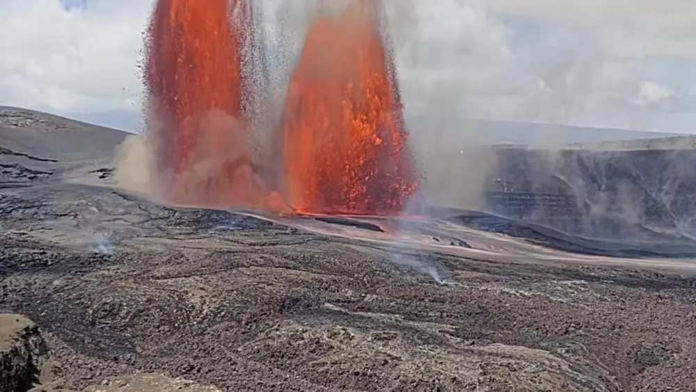 1773188298683904tcvcyvwr54-apn366312