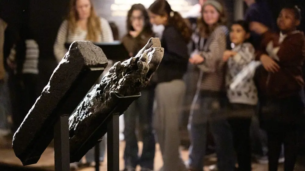 1773310700325327oiui2e0f6m-apn470725