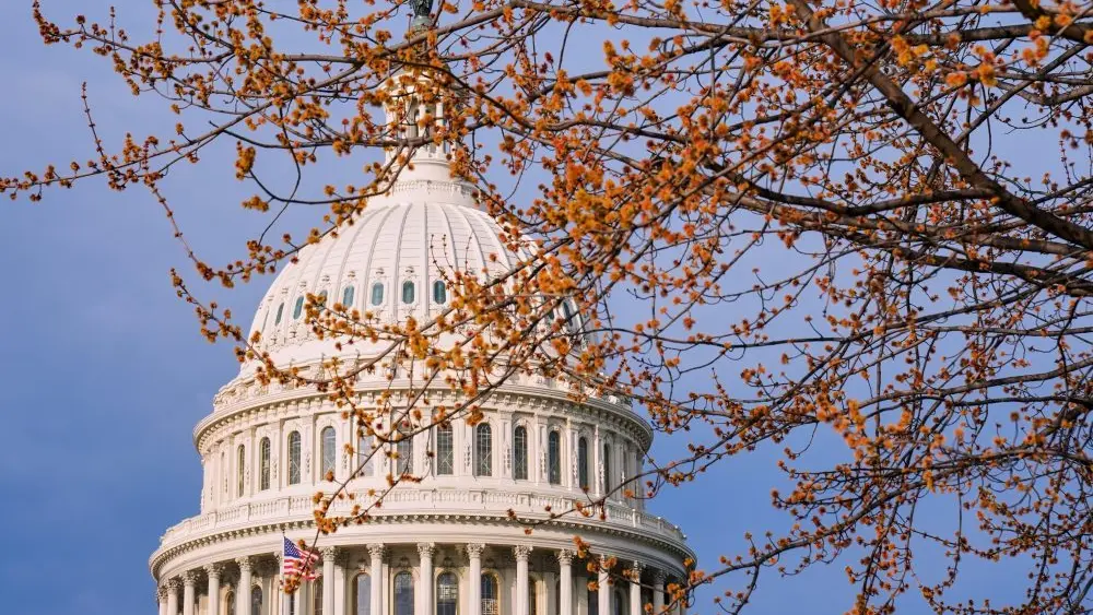 1773335898961250aad3p4cslm-apn715505