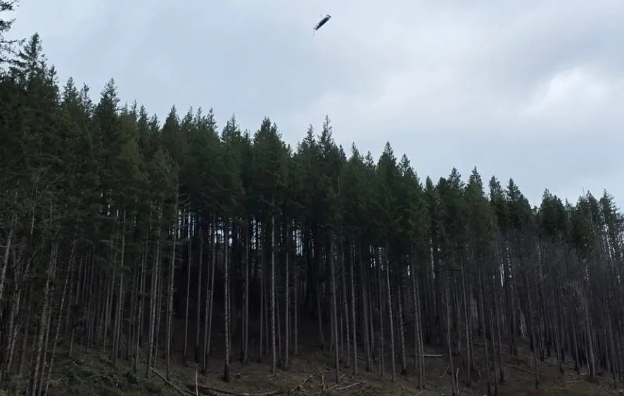 1773443901159704upbsku1utl-apn441742