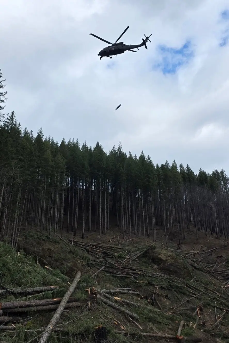 1773443901159704upbsku1utl-apn441742