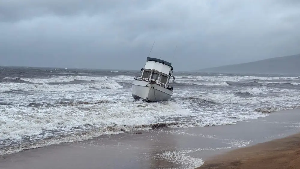 1773519493570317fzplxfvool-apn926888