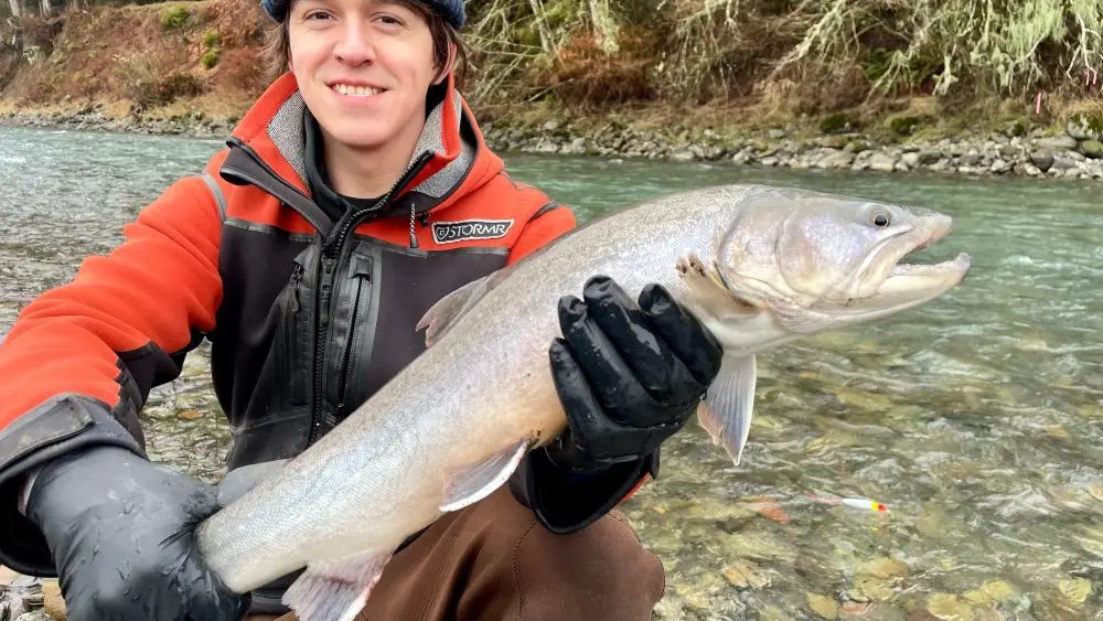 1773890290743334wkjaotwn86-apn398273