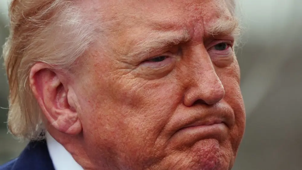 1774113498240238xerflvp24c-apn251279