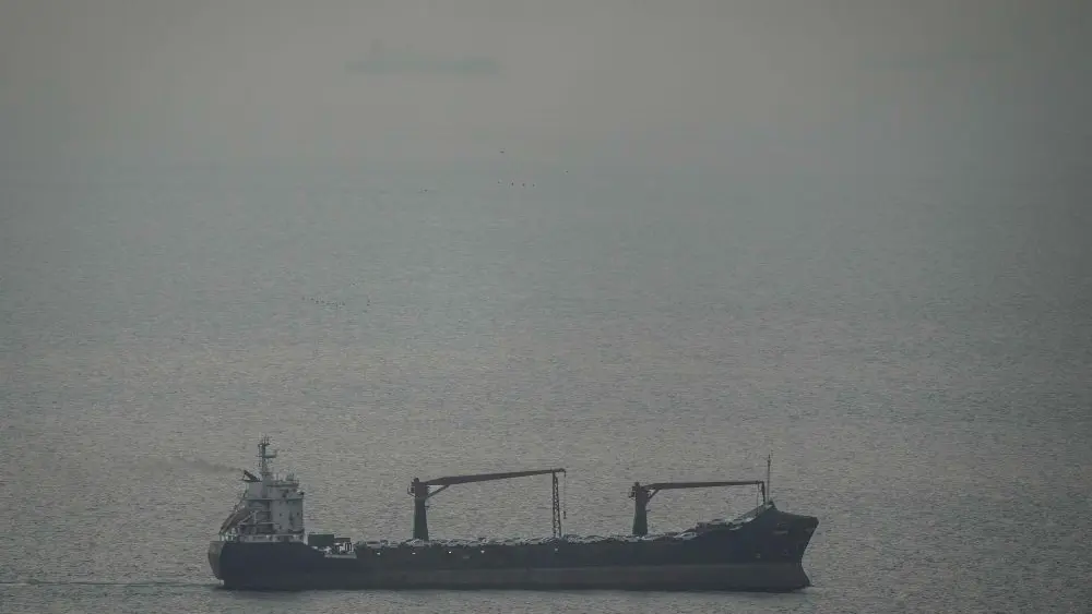 177420710079509xdxlebfh0m-apn539649