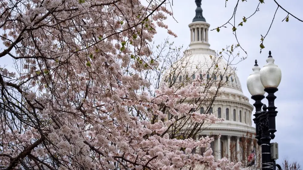 1774361898525804spztzkdgb6-apn80609