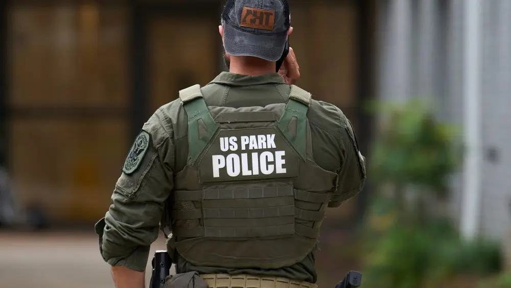 1774372693700213gbv8zdcwu3-apn206608