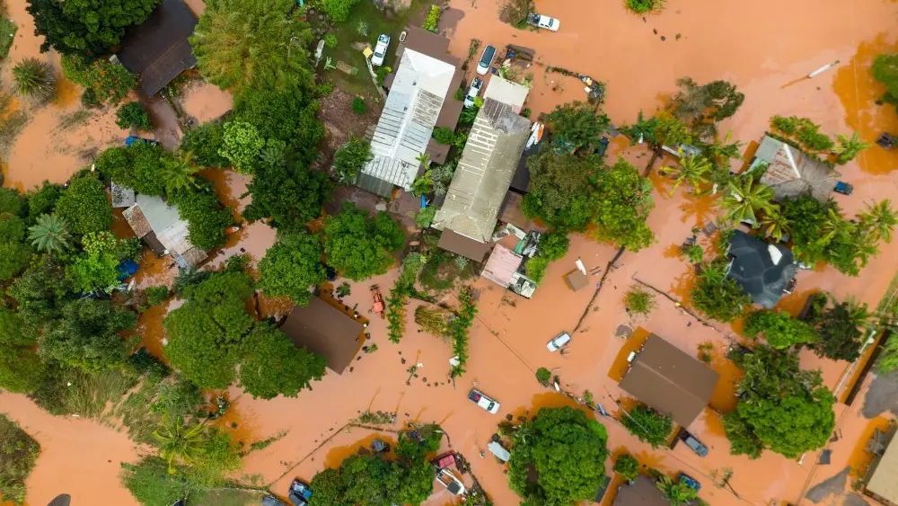 1774423096451185zlrrqi9mwp-apn717247