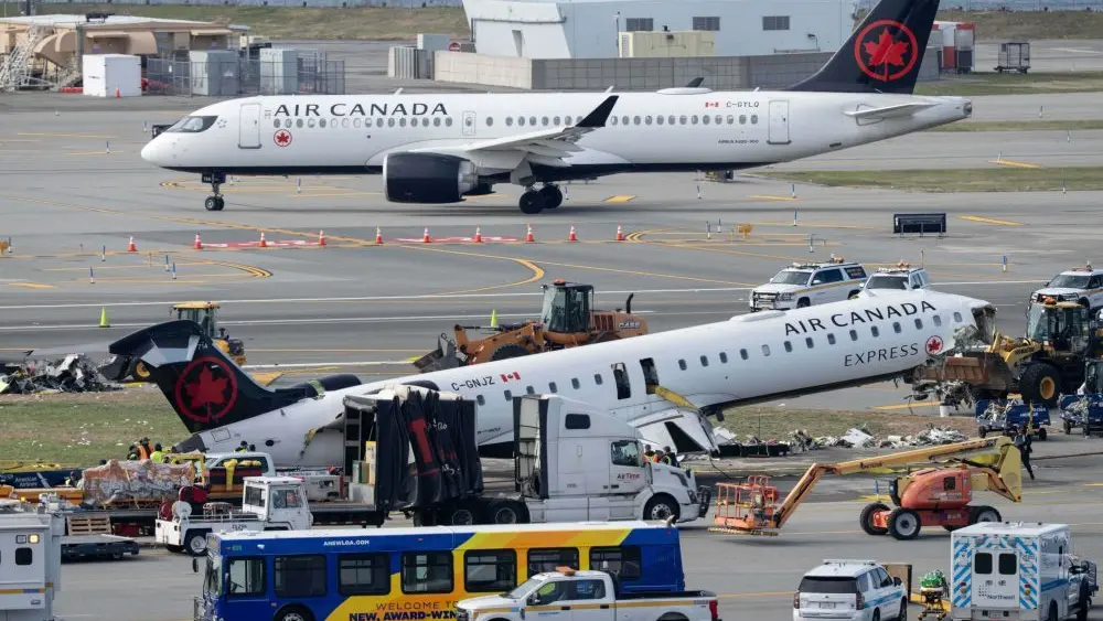 1774480700231257yydhpllpb8-apn981167