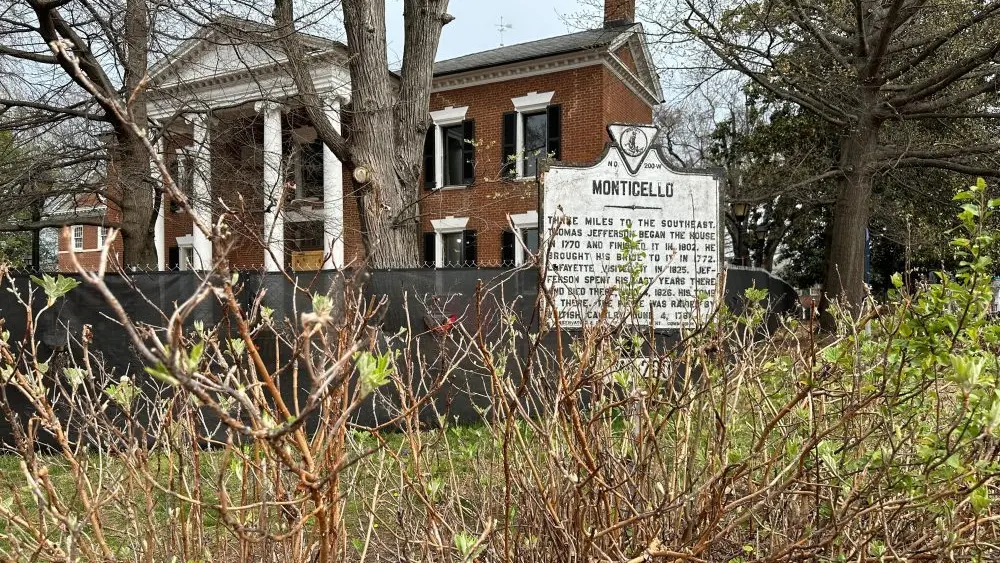 1774545499981647cflfswq4ad-apn285272