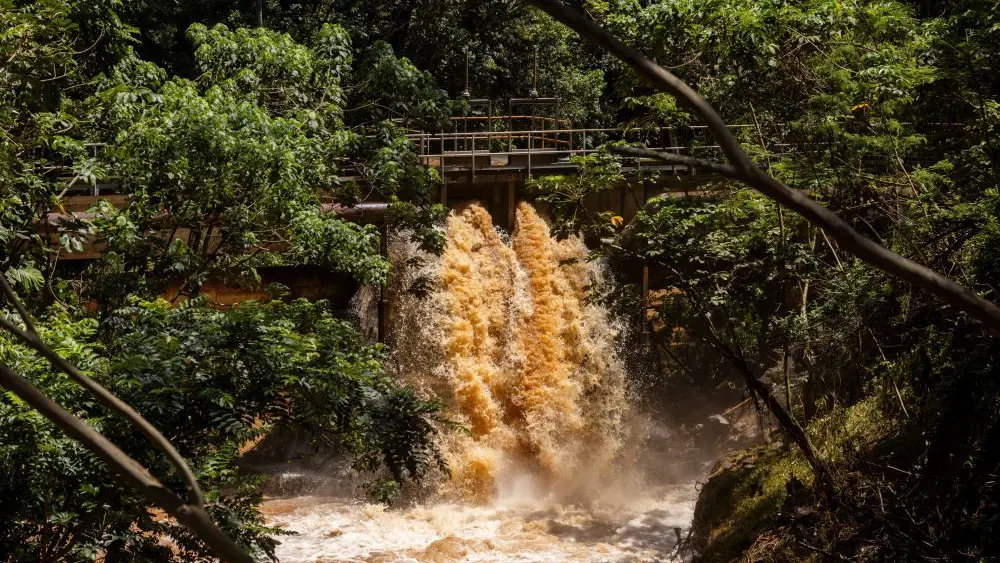 1774657101125718hiu50rftme-apn289416