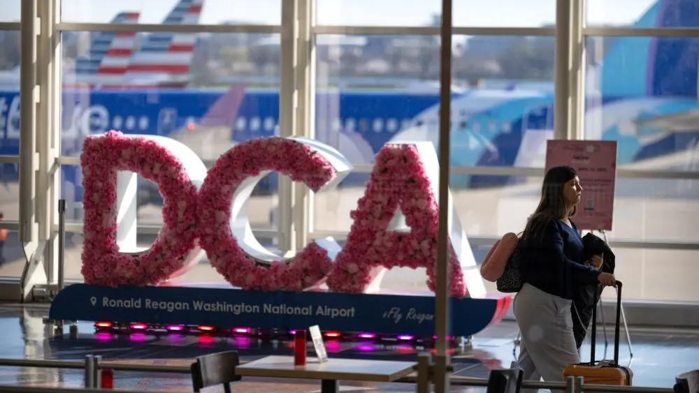 1774660696618399i06lpbvfbh-apn710666