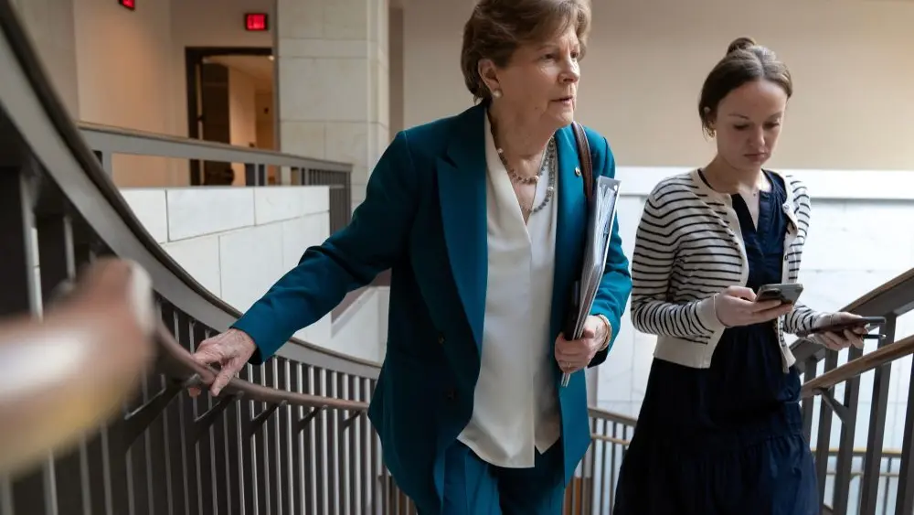 1774703901713053jcat588bw5-apn87145