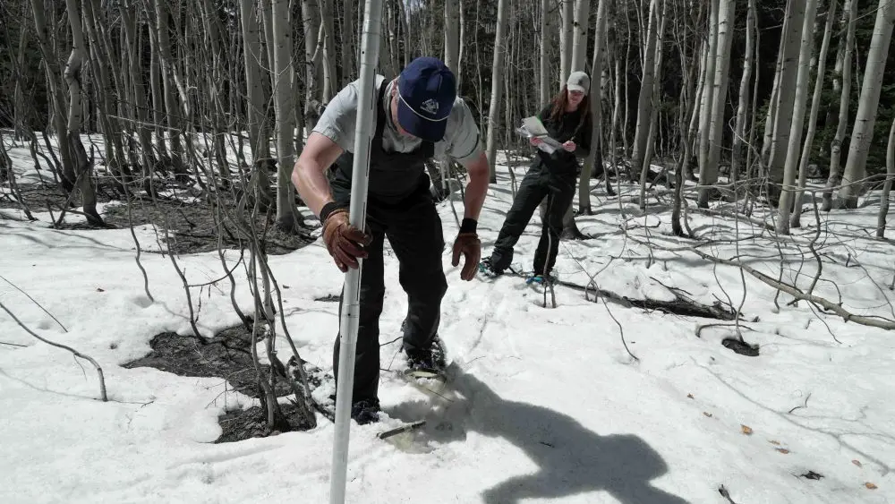 1775017109575430gdwluvbmff-apn564699