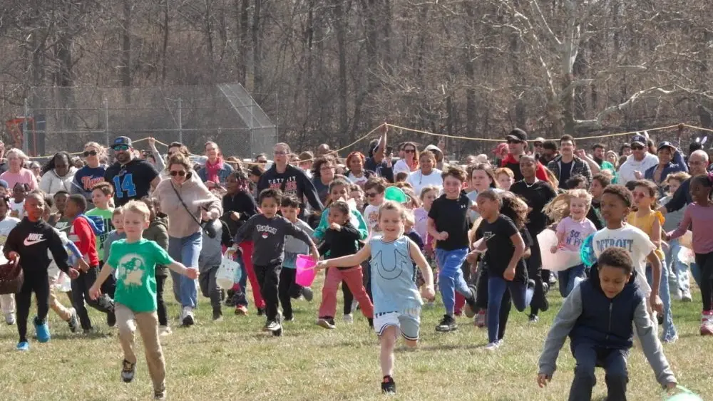 17752439014997999dcytosokw-apn246527