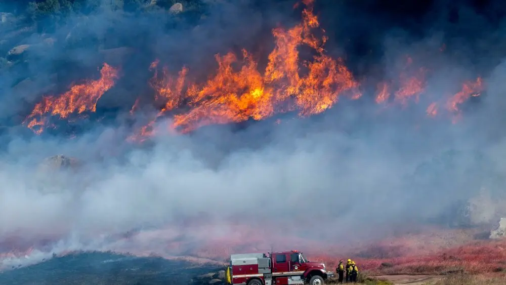 17753194945633492oslxjynqw-apn518878