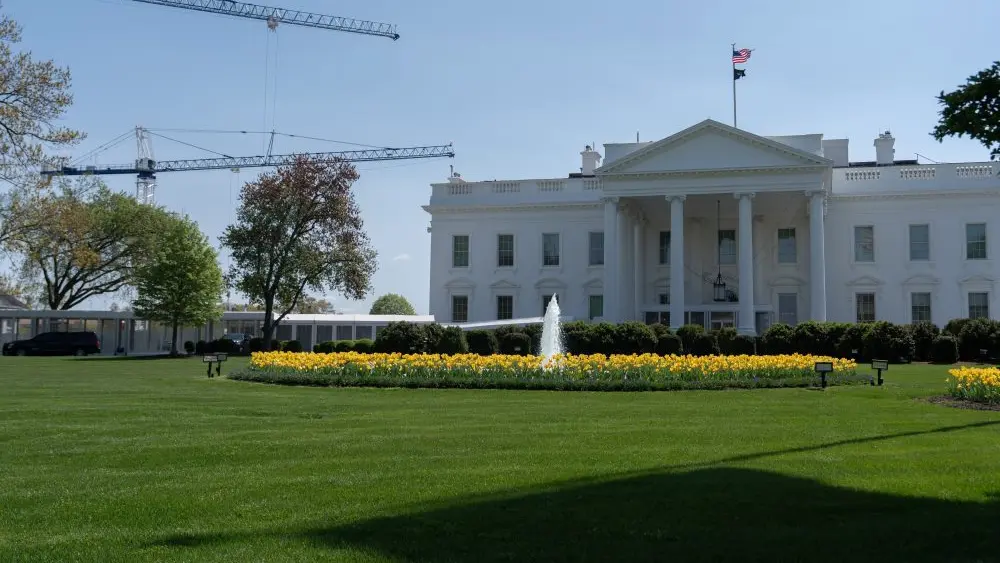 1775391498929196ptotvwkivl-apn379402