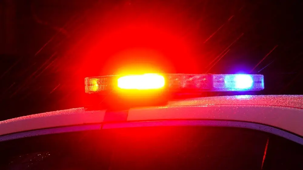 1775427494356930qaplgpfzvy-apn844911