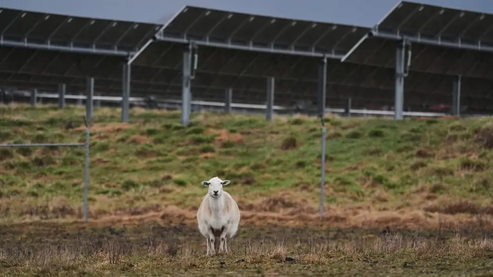 17764318956246761x8booq0j0-apn453165