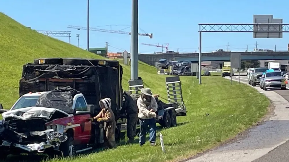 1776457098336191fba8pkjxf2-apn991771