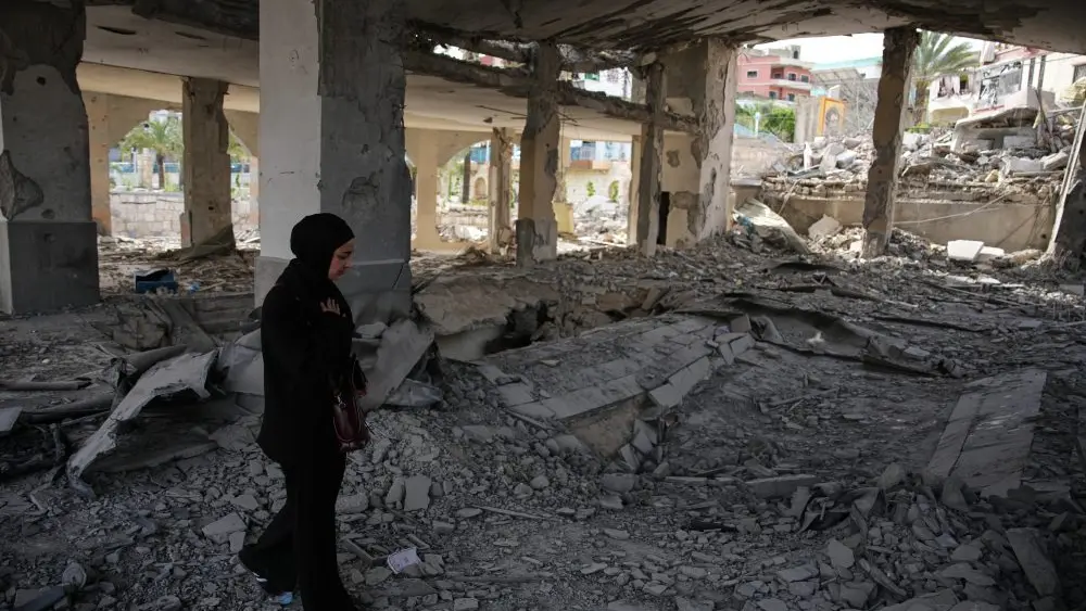 1776489497860728tkdqqzcvkw-apn337893