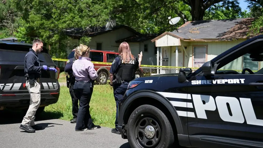 1776629898261890amojczlmrn-apn782035