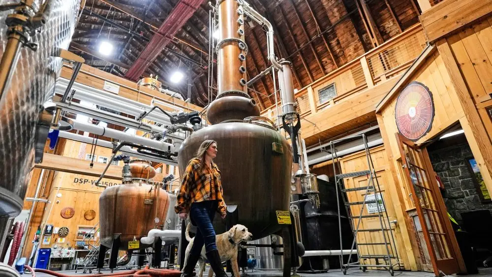 17766838975691052k9l0w0ldu-apn608443