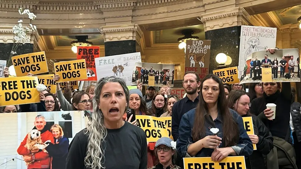 1776709093333487ouizcj860h-apn709268